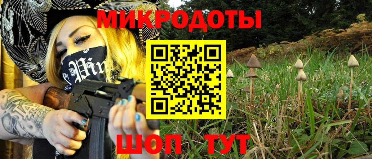 Псилоцибиновые грибы Psilocybine cubensis Троицк
