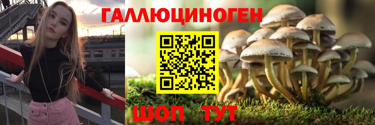 хочу наркоту  Галлюциногенные грибы мухоморы  Вход с VPN  Троицк 